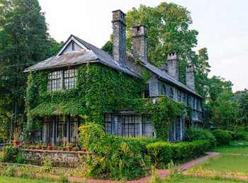 Wildlife tour of South India