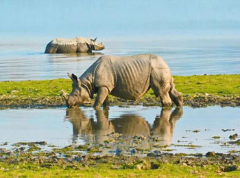 North East - Seven Sister Tour