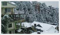 Shimla