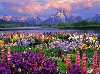 Valley of Flowers - Hemkund Sahib