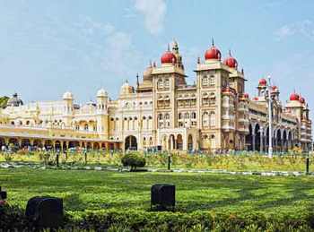 Wildlife tour of South India